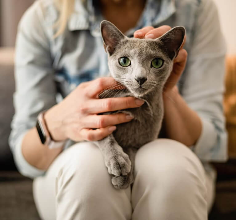  Quelle est l’espérance de vie d’un chat ?