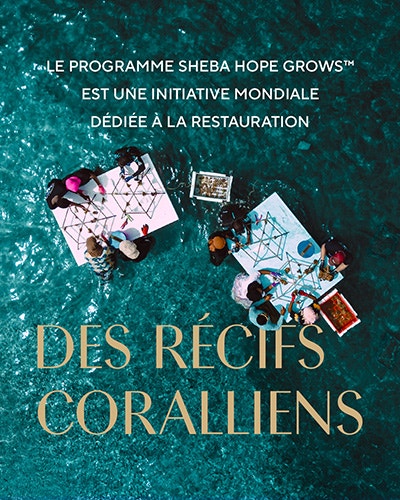 Des Recifs Coralliens