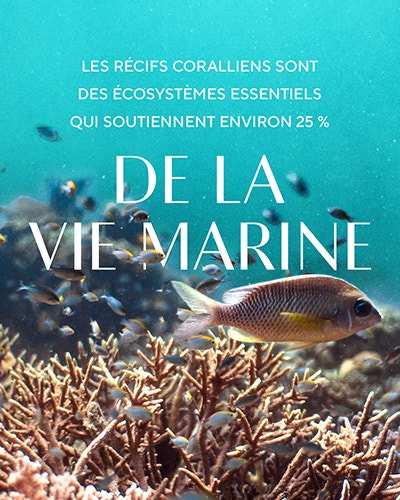 De La Vie Marine