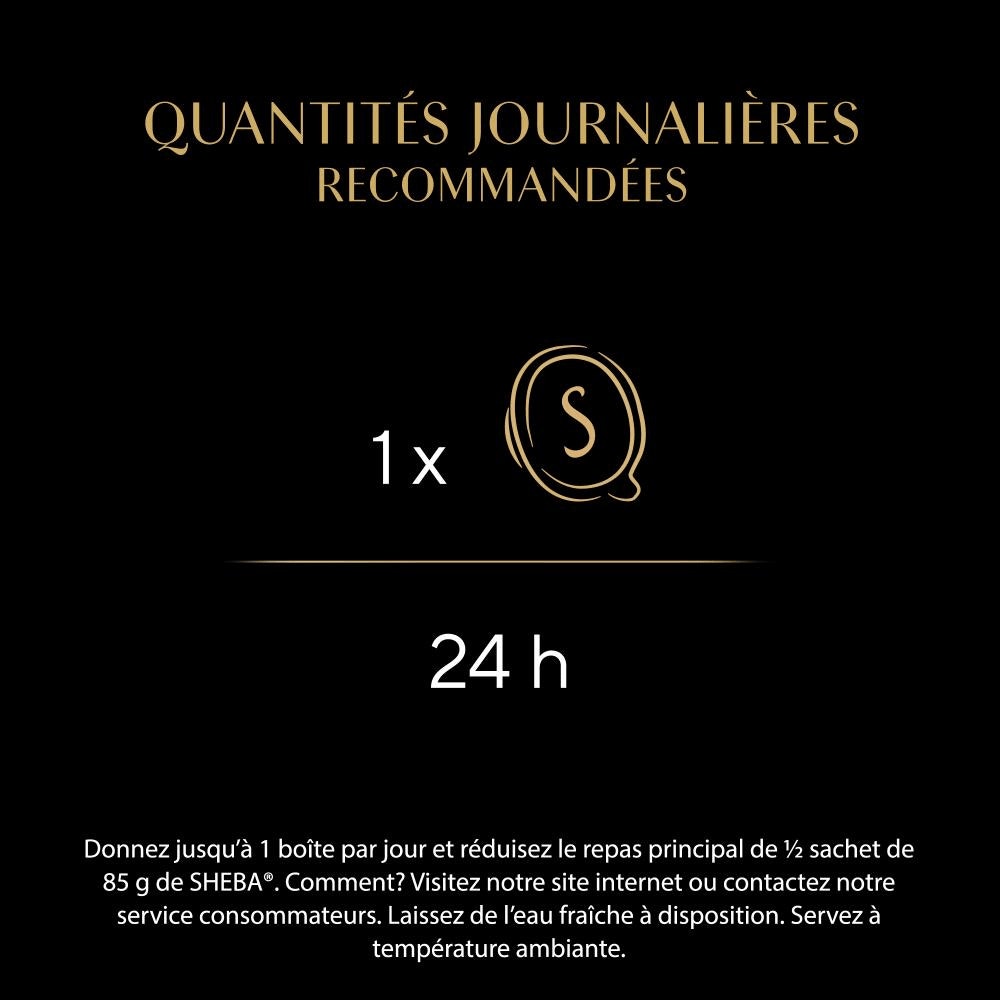 Poulet 1 x 60g - Filets - 3