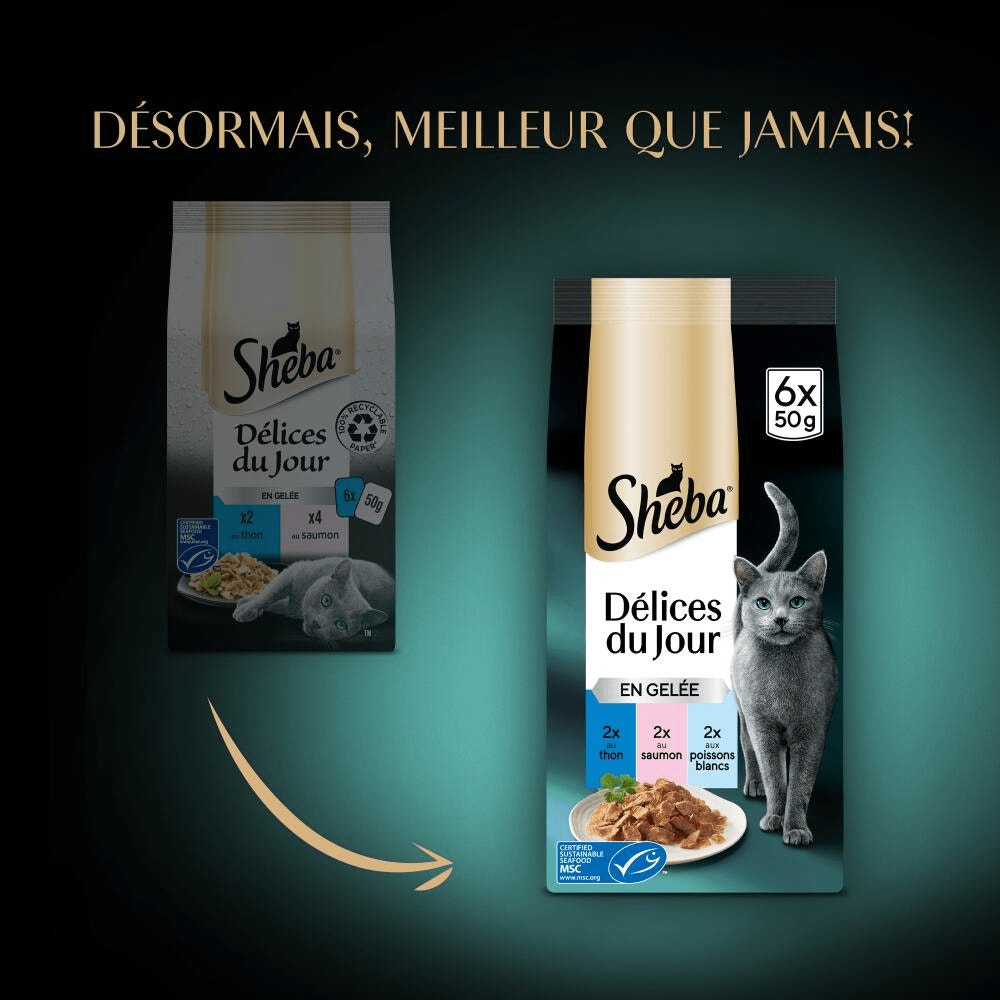 Poissons En Gelée 6 x 50g - Délices Du Jour - 2