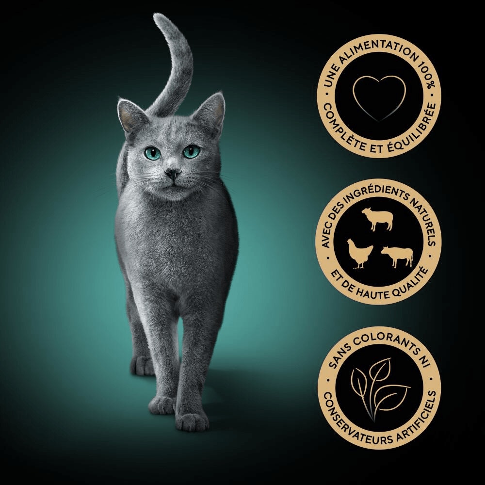 Sachets Fraîcheur Du Boucher En Sauce 6 x 50g - Délices Du Jour - 4