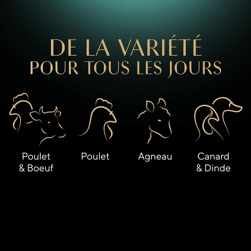 Sélection Du Boucher En Sauce 4 x 85g - Mini Filets - 4