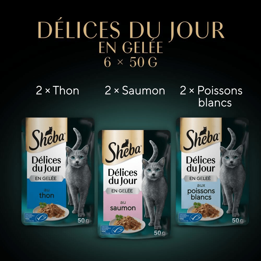 Poissons En Gelée 6 x 50g - Délices Du Jour - 3