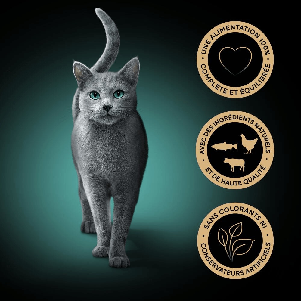 Sachets Fraîcheur Taste Of Paris 6 x 50g - Délices Gourmands - 4