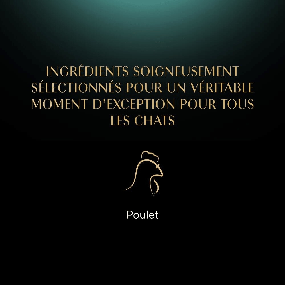 Poulet 1 x 60g - Filets - 4