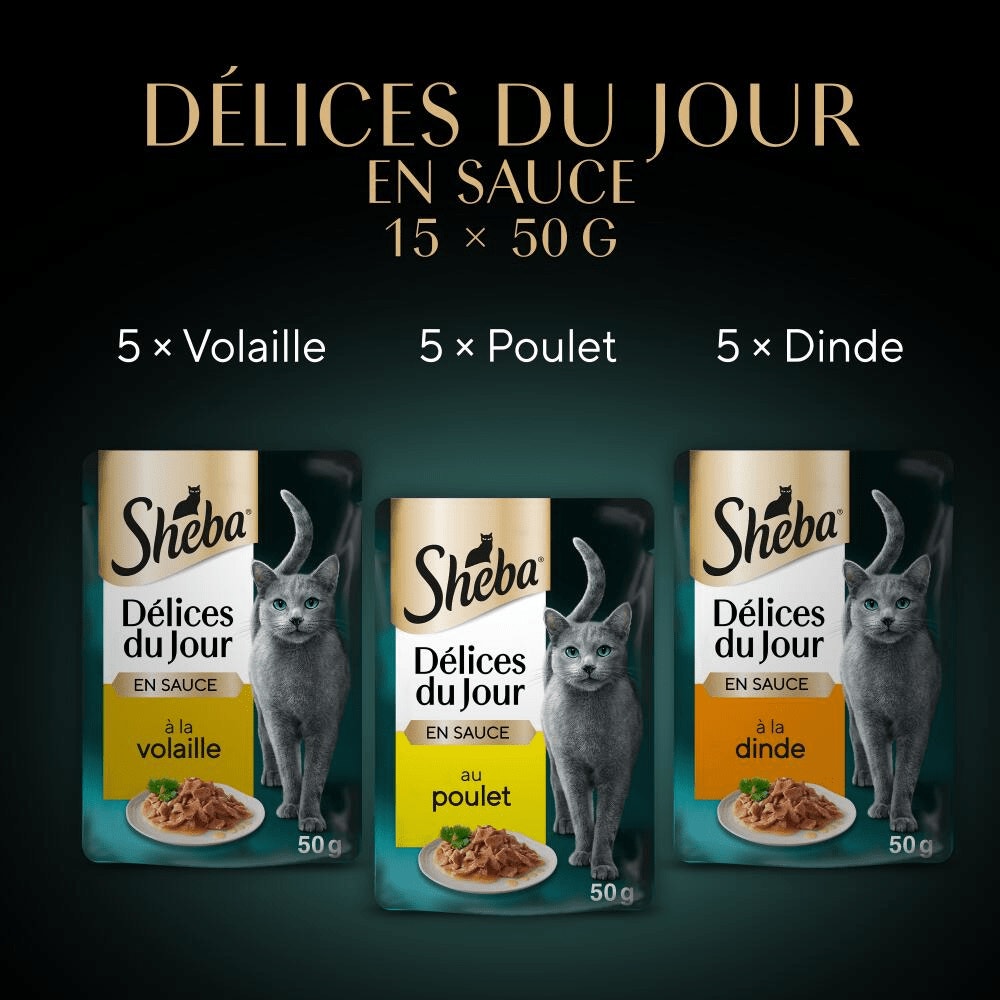Volaille En Sauce 15 x 50g - Délices Du Jour - 3