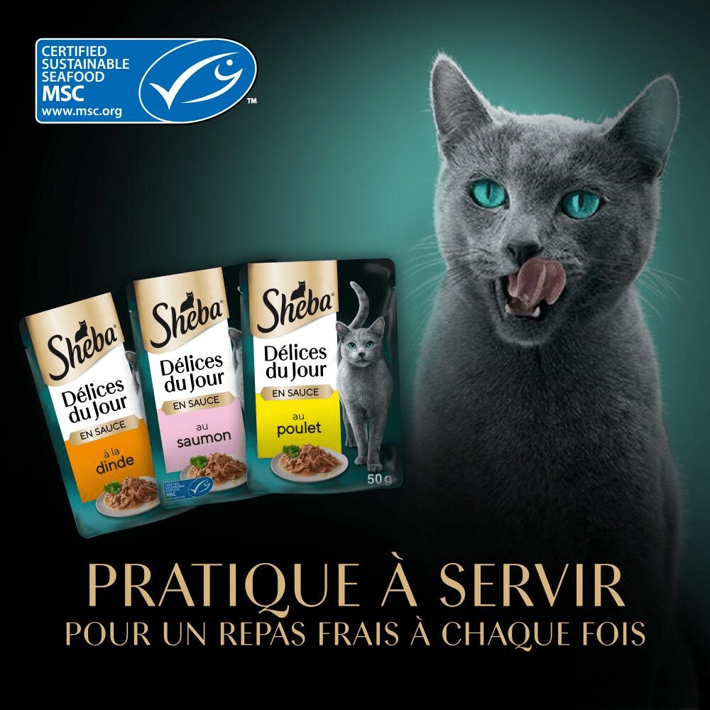 Terre & Mer En Sauce 6 x 50g - Délices Du Jour - 5