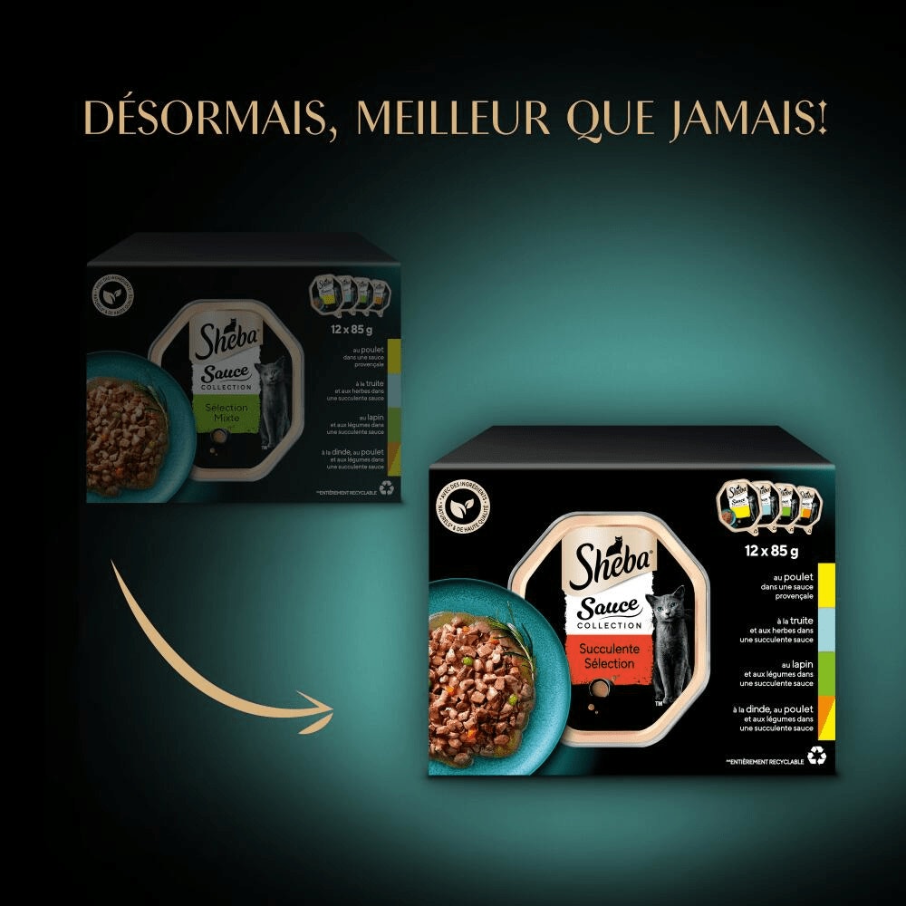 Sélection Mixte En Sauce 12 x 85g - Sauce Collection - 2