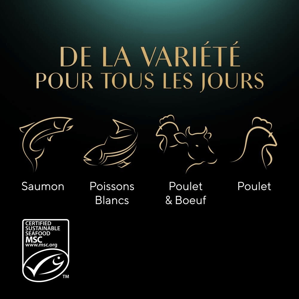 Sélection Mixte En Sauce 12 x 85g - Mini Filets - 4