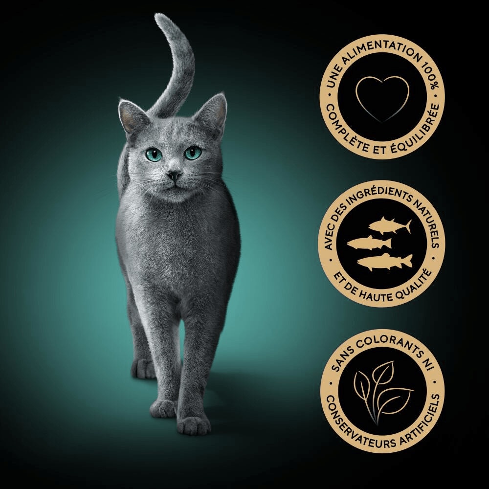 Poissons En Gelée 6 x 50g - Délices Du Jour - 4