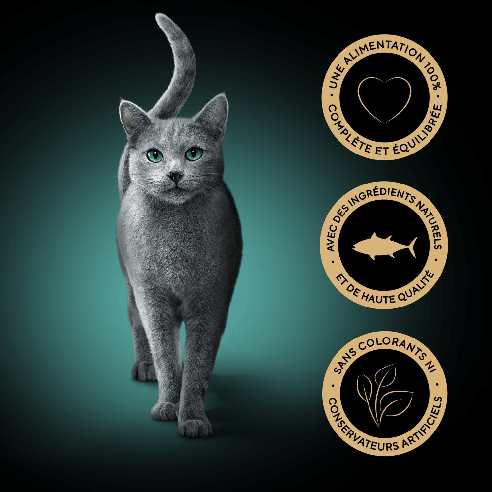 Thon MSC - PERFECT PORTIONS™ 6 x 37,5g - 4