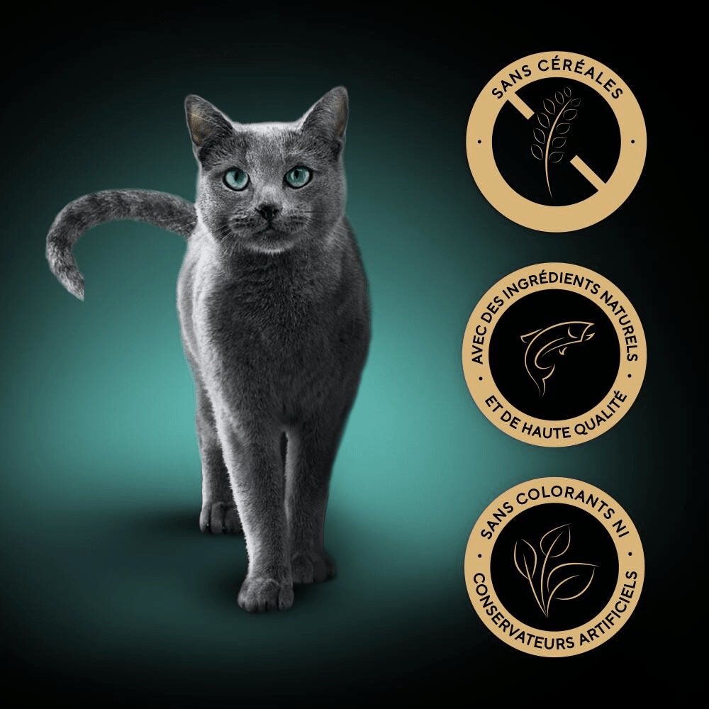 Sélection aux Poissons en sauce 4 variétés 12x85g - Nature's Collection - 5