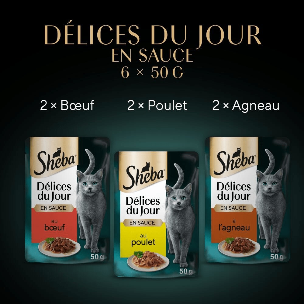 Sachets Fraîcheur Du Boucher En Sauce 6 x 50g - Délices Du Jour - 3