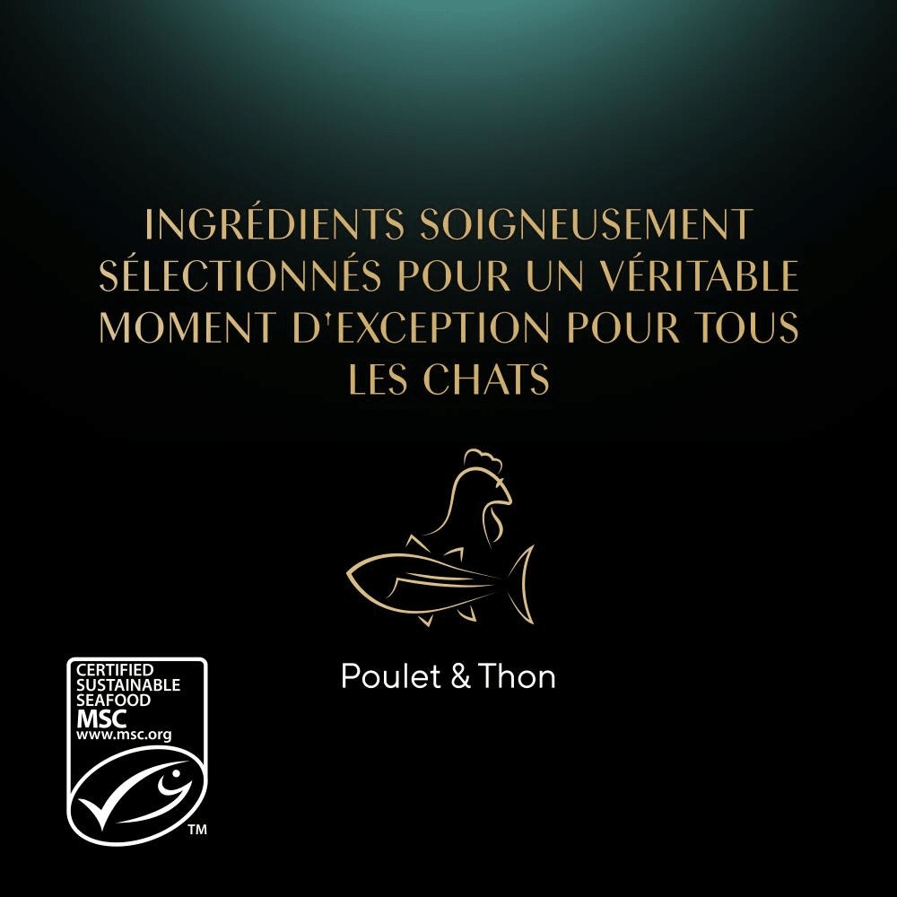 Poulet Et Au Thon 1 x 60g - Filets - 4