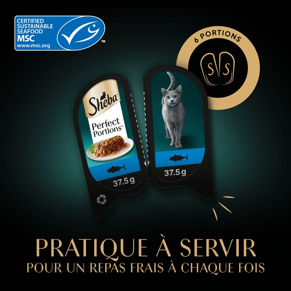 Thon MSC - PERFECT PORTIONS™ 6 x 37,5g - 3