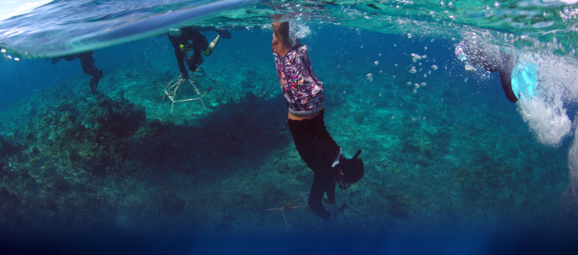 Plongeurs avec tubas sous l'eau